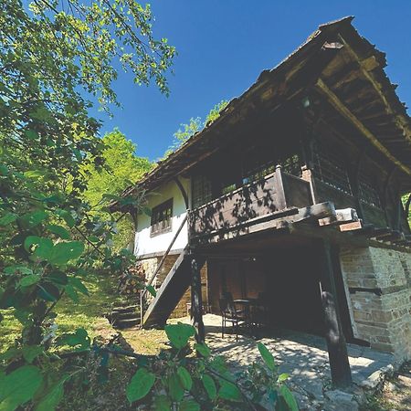 Guest House Cana Mihova Bożenci Zewnętrze zdjęcie