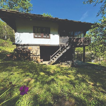 Guest House Cana Mihova Bożenci Zewnętrze zdjęcie